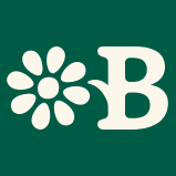 The Blossomist